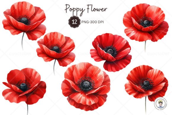 Download Watercolor Red Poppy Flower Clipart - Red poppy Collection