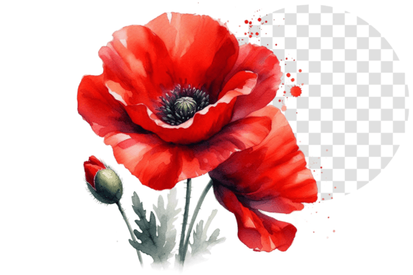 Download Poppify Watercolor Red Poppy Clipart - Red poppy Collection