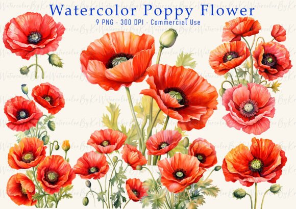 Download Red Poppy Watercolor Clipart PNG Bundle - Red poppy Collection