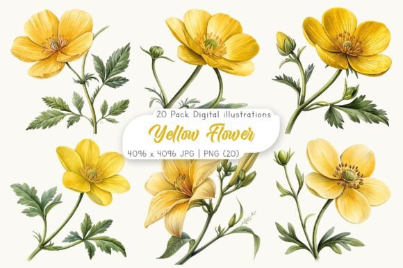 Download Watercolor Yellow Flower Clipart - Yellow flower Collection