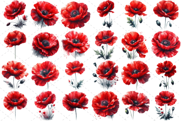 Download Poppify Watercolor Red Poppy Bundle - Red poppy Collection