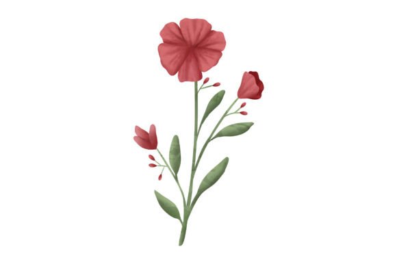 Download Pretty Red Poppy, Watercolor - Red poppy Collection