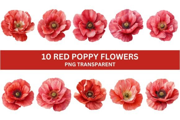 Download 10 Vibrant Red Poppy Flower PNG Set - Red poppy Collection