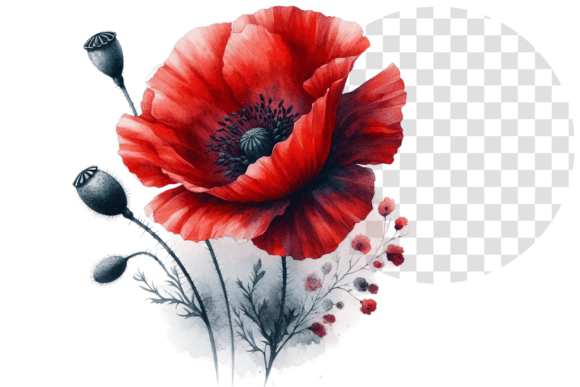 Download Poppify Watercolor Red Poppy Clipart - Red poppy Collection