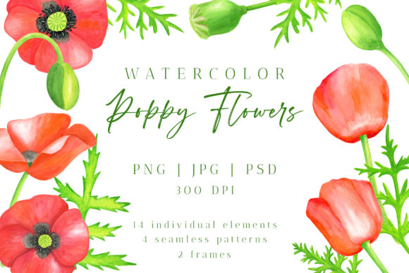 Download Red Poppy Flower Watercolor PNG Cliparts - Red poppy Collection