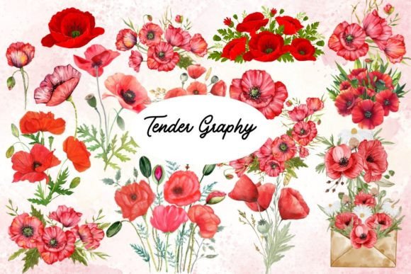 Download Red Poppy Watercolor SVG Bundle 30 Files - Red poppy Collection